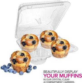 img 1 attached to 🧁 Stock Your Home 4-Compartment Cupcake Containers (40 Pack) - Plastic Disposable Trays for Cupcakes & Muffins - Hinged Lock Cupcake Clamshell - Deep Cups for Convenient Cupcake Storage