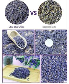 img 2 attached to 🌸 Purchase Wholesale Ultra Blue Grade Organic Dried Lavender Buds: TooGet Fragrant Flowers - 1 Pound