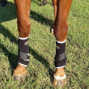 img 1 attached to 🐴 PetTx Lightweight Neoprene Vented Sport Exercise Boots - Horse Equine Medicine Boots, Pack of 2: Support, Protect, and Breathe for Optimal Leg Health