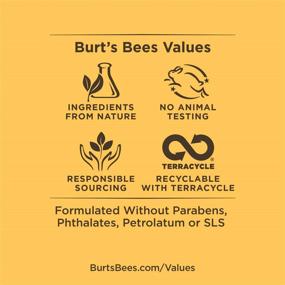 img 1 attached to 🌼 Крем для рук Burt's Bees: Питательный мед и масло виноградных косточек - 2.6 унции (упаковка может отличаться)