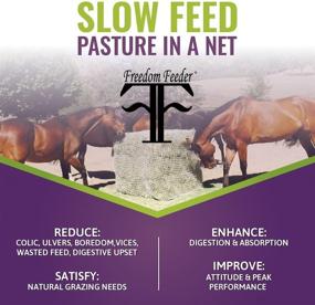 img 2 attached to 🐎 Mesh Net Slow Horse Feeder - Full Day Feeding Solution, Holds 30 lbs/4 Flakes of Hay, Promotes Calm and Reduces Equine Feeding Anxiety and Behavioral Issues