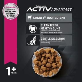 img 3 attached to 🐶 Eukanuba Adult Large Breed Lamb Dry Dog Food - 30 lb Bag -With Real Lamb as the 1st Ingredient