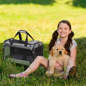 img 3 attached to Coopeter Dog Carrier, Airline Approved Pet Carrier with Durable Mesh Panels, Telescopic Walking Handle, Easy to Fold, Grey - Ideal for Cats Too!