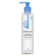 🧖 derma e hydrating gentle cleanser with hyaluronic acid - moisturizing facial cleanser for improved skin texture - exfoliating papaya face wash logo