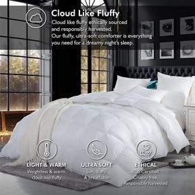 img 3 attached to 🛏️ Luxurious Siberian Goose Down Comforter - Queen Size, 100% Egyptian Cotton Cover, 60 oz. Fill Weight, White Solid