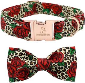 img 4 attached to 🦁 Lionheart Glory Premium Adjustable Dog Collar with Bowtie - Heavy Duty Collar for Small, Medium, and Large Dogs