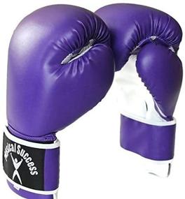 img 2 attached to 12oz Purple Boxing Gloves from Physical Success Partners - Enhanced SEO