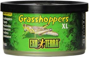 img 4 attached to Exo Terra Reptiles Grasshoppers 1 2 Ounce