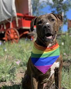 img 1 attached to Vibrant Pride Bandanas for Dogs - Native Pup Rainbow Flag Dog Bandanas, 2-Pack, Small Size