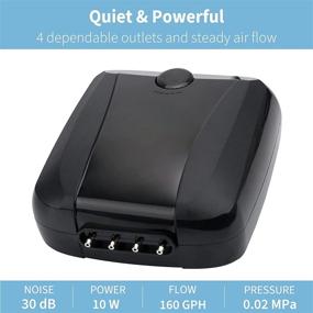 img 3 attached to 🐠 Pawfly 160 GPH Aquarium Air Pump - 4 Outlets, 10W, Adjustable & Quiet Oxygen Aerator Pump for Fish Tanks & Ponds Up to 200 Gallons