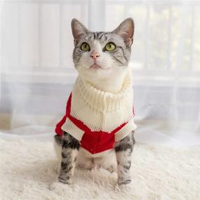 img 3 attached to Premium HongGun Pet Clothes: Winter Warm Strawberry Knitwear Sweaters for Cats & Dogs