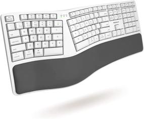 img 2 attached to 💻 Macally Wireless Ergonomic Keyboard for Mac - Enhanced Comfort - Bluetooth Compatible Apple Keyboard with Wrist Rest Cushion and 21 Quick Shortcuts - Rechargeable Ergo Split Keyboard Wireless for Mac