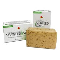 🌊 2-pack reviva organic seaweed soap - 4.5 oz bar - exfoliating face and body scrub soap - vegetable base & made in the usa логотип