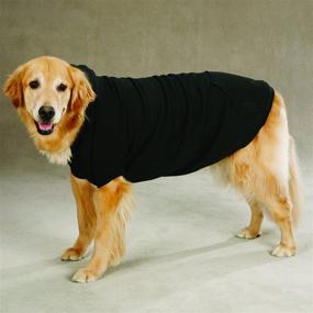 img 2 attached to 🐶 Zack & Zoey Fleece-Lined Hoodie for Dogs, 12" Small, Black - Warm and Stylish Pet Apparel