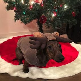 img 1 attached to 🦌 Reindeer Dog Costume by Midlee