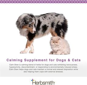 img 3 attached to 🌿 Herbsmith Calm Shen Herbal Blend: Natural Anxiety Remedy for Dogs & Cats - Feline and Canine Calming Supplement