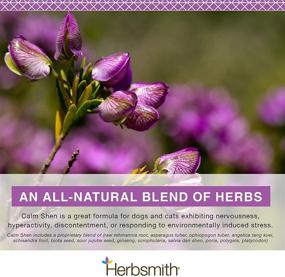 img 2 attached to 🌿 Herbsmith Calm Shen Herbal Blend: Natural Anxiety Remedy for Dogs & Cats - Feline and Canine Calming Supplement