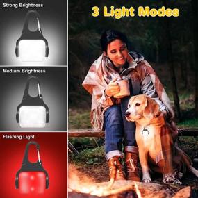 img 3 attached to 🐶 LVJING Dog Collar Light, Clip-On LED Dog Lights with USB Rechargeable, 3 Light Modes for Night Walking, Running, Pet Safety, Camping, Bike - Waterproof, 2 Pack