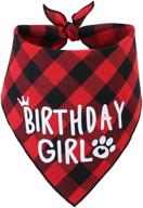 jpb dog birthday bandana girl логотип