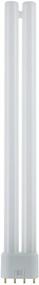 img 3 attached to 🌞 Sunlite FT24DL Neutral Compact Fluorescent Light