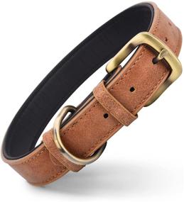 img 4 attached to Classic Leather Collar Adjustable Collars