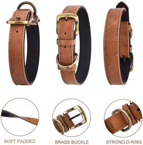 img 2 attached to Classic Leather Collar Adjustable Collars