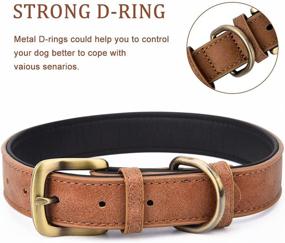 img 1 attached to Classic Leather Collar Adjustable Collars