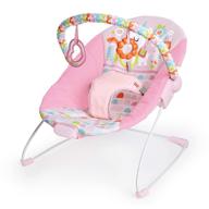 🪐 bright starts vibrating bouncer with toy bar - fanciful fantasy logo
