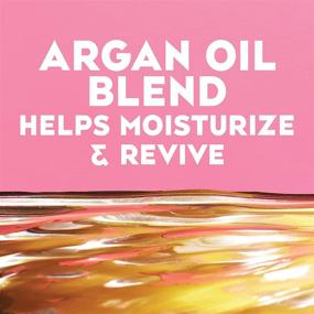 img 2 attached to 🧴 OGX Renewing + Argan Oil of Morocco Hydrating Hair Shampoo - Cold-Pressed Argan Oil, Paraben-Free, Sulfate-Free - 13 fl oz