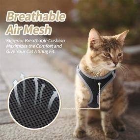 img 2 attached to RAINDEE Breathable Comfortable X Small（Chest 9 45 11 2 Cats