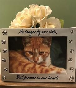 img 3 attached to NewLifeLandia Pet Memorial Picture Frame: A Perfect Gift for Remembrance and Healing after the Loss of your Beloved Dog or Cat