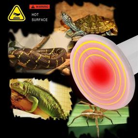 img 3 attached to 🔥 OMAYKEY 75W 2 Pack Ceramic Heat Emitter Bulb for Reptiles – Infrared Heater Lamp for Pet Brooder, Coop, Chicken, Lizard, Bearded Dragon, Turtle, Snake, Aquarium – ETL Listed, No Harm, No Light