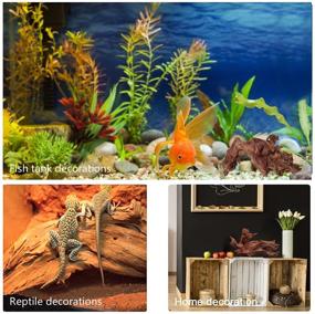 img 2 attached to Enhance Your Aquarium and 🌿 Reptile Habitat with Hiwzitar Natural Driftwood
