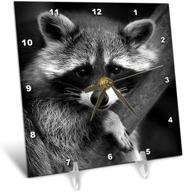 3drose dc_173001_1 raccoon digital image desk logo