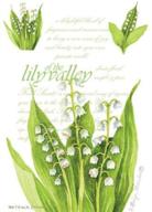 🌼 lot of 6 fresh scents scented sachets - lily of the valley logo