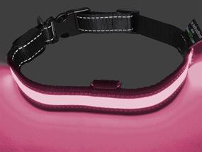 img 1 attached to GlowHERO LED Light Up Dog Collar - The Original Glow Collar - High Visibility LED Dog Collar with 3 LED Modes for Increased Safety and Durability