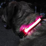 glowhero led light up dog collar - the original glow collar - high visibility led dog collar with 3 led modes for increased safety and durability logo