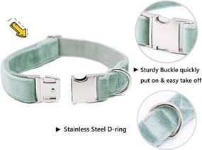 img 1 attached to 🐶 Bubblepup Velvet Dog Collar - Soft, Comfortable & Adjustable Collar for Small, Medium, Large Dogs