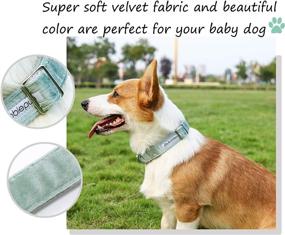 img 3 attached to 🐶 Bubblepup Velvet Dog Collar - Soft, Comfortable & Adjustable Collar for Small, Medium, Large Dogs