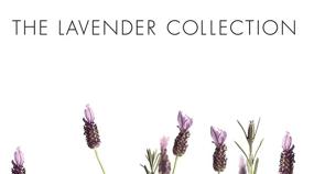 img 2 attached to 🕯️ Pre de Provence Lavender Ceramic Candle, 10.9 oz