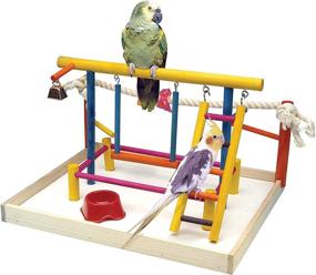 img 4 attached to 🐦 Penn-Plax Bird Life Activity Center – Ideal for Small or Juvenile Birds