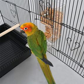 img 2 attached to 🐦 Premium No Split Bird Seed Feeder: Parrot Automatic Foraging System with Perch, Heavy Acrylic Construction - One-Step Moulding