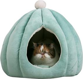 img 4 attached to 🌵 Cactus Pet Condo for Cats, Puppies, and Small Dogs - Super Plush, Self-Warming Material for Ultimate Comfort - Machine Washable, Fun Design, Private Cat Cave and Dog House