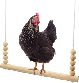 img 4 attached to 🐔 Handmade USA Natural Wood Chicken Coop Swing Toy - Round Bar Perch for Backyard Barnyard Poultry Run, Roosters, Hens, Chicks, Pet Parrots, and Pollo - Stress Relief for Birds