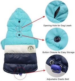 img 2 attached to 🐾 Winter Coat Hoodie Snowsuit for Chihuahua, Yorkie, Poodles, Shih Tzu, Mini Pinscher - Waterproof Windproof Pet Apparel with Leash Hole, Blue/Navy, Chest 14.5”(37cm)