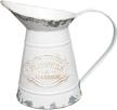 vancore pitcher watering country decoration logo