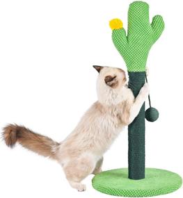 img 4 attached to 🌵 FORJON Cactus Cat Scratching Post: Durable Sisal Rope, Interactive Ball, Ideal for Indoor Cats and Kittens