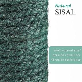 img 2 attached to 🌵 FORJON Cactus Cat Scratching Post: Durable Sisal Rope, Interactive Ball, Ideal for Indoor Cats and Kittens