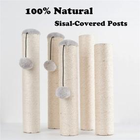 img 1 attached to 🐱 Dimaka 29-Inch Tall Cat Scratching Post: Sisal Rope Claw Scratcher, Soft Plush Covering