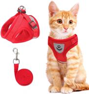 versatile cat and small dog vest harness: all-weather mesh with reflective straps and adjustable fit for walks logo